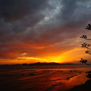 男生被强迫戴飞机杯榨精故事
